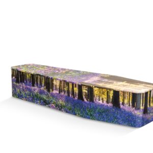 Picture Coffin - Bluebells (Cardboard)